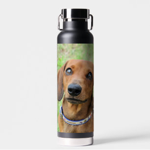 Botella De Agua Dachshund