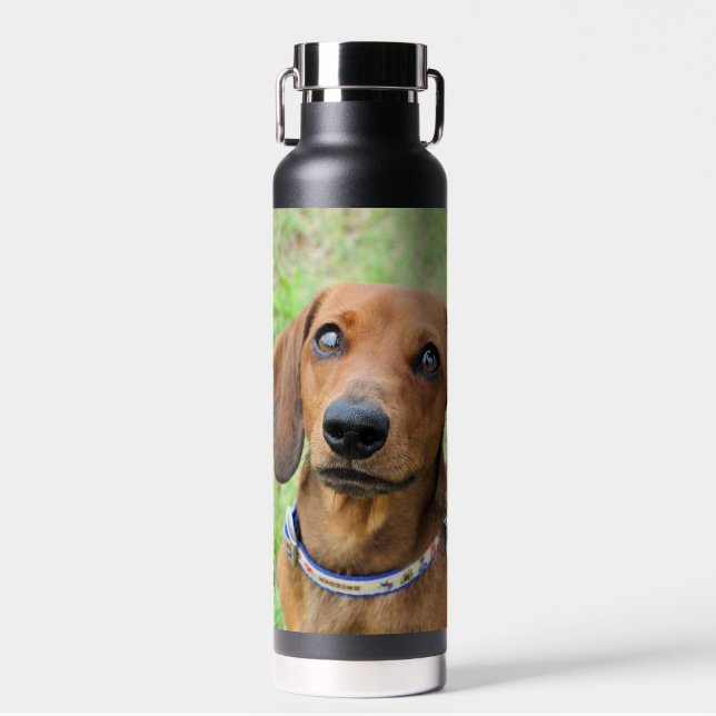 Botella De Agua Dachshund (Delantero)