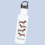 Botella De Agua Dachshund Sausage Dog Personalizado<br><div class="desc">Pequeña salchicha de Dachshund o perritos de peluquería en ropa de cama de lana. Perfecto para los amantes de los perros y los paseantes. Arte original de Nic Squirrell. Cambie el nombre a personalizar.</div>