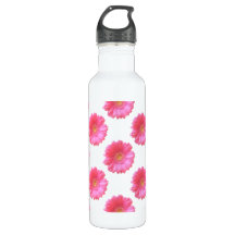 Daisy gerbera rosada