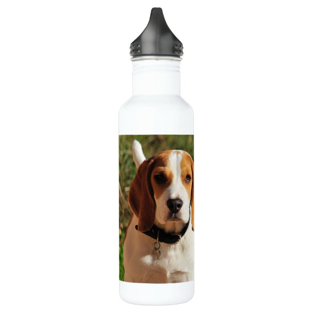 Botella de agua de acero inoxidable Beagle (Izquierda)