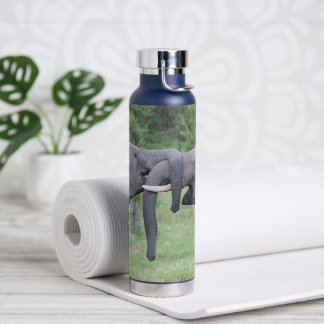 Botella de agua de acero inoxidable de 22 oz. de E