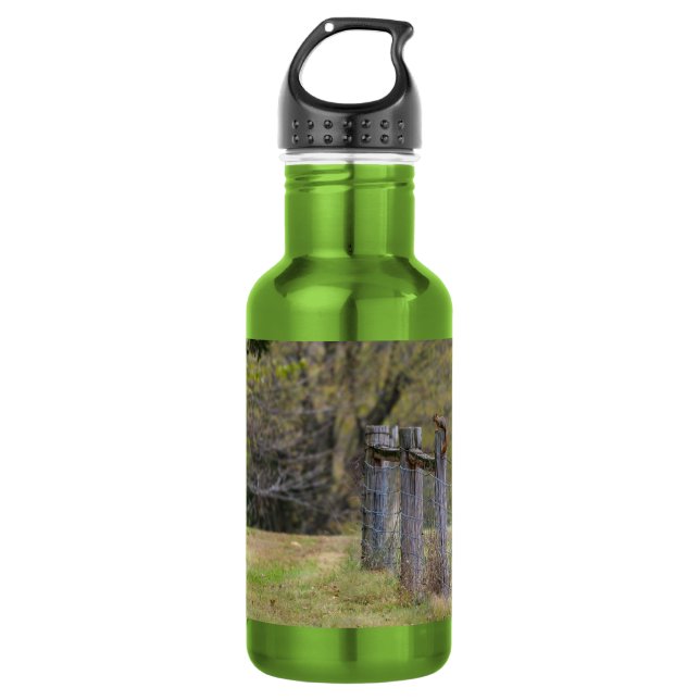 Botella de agua de acero inoxidable de la cerca de (Anverso)