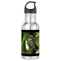 Botella de agua de acero inoxidable Hummingbird