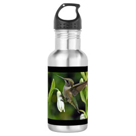 Botella de agua de acero inoxidable Hummingbird