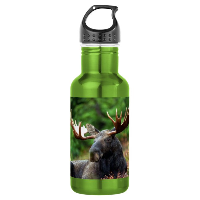Botella de agua de acero inoxidable Moose (Anverso)