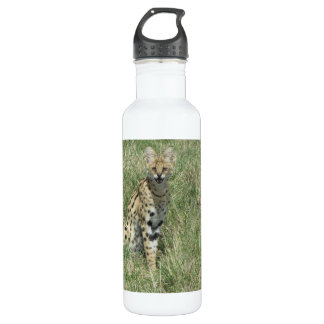 Botella de agua de acero inoxidable para gato sirv