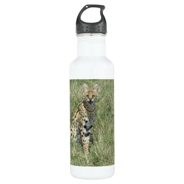 Botella de agua de acero inoxidable para gato sirv (Anverso)