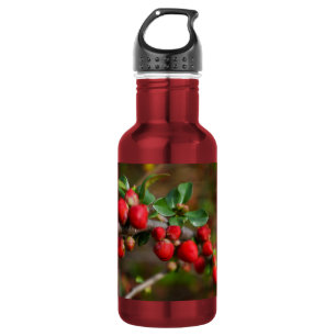 Botella de agua de acero inoxidable Red Spring Bud