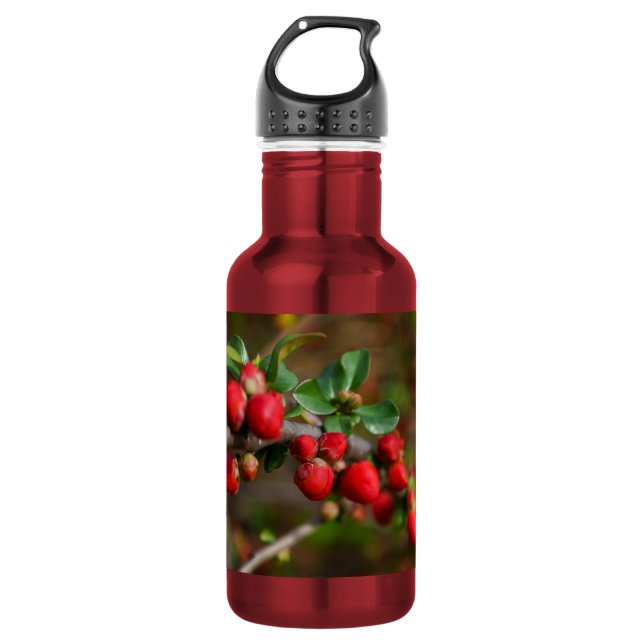Botella de agua de acero inoxidable Red Spring Bud (Anverso)