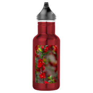 Botella de agua de acero inoxidable Scarlet Line