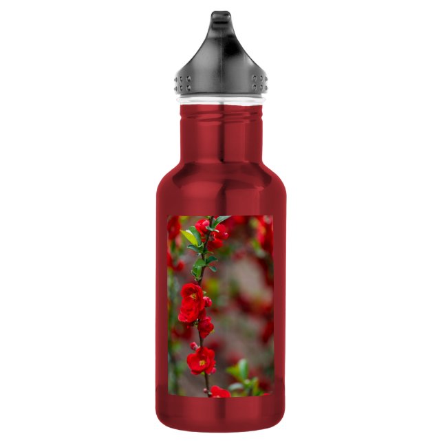 Botella de agua de acero inoxidable Scarlet Line (Derecha)