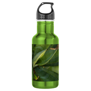 Botella de agua de Aloe Vera