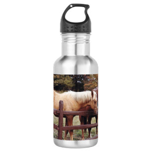 Botella de agua de aluminio de los mejores amigos