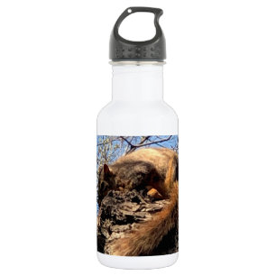 Botella de agua de ardilla
