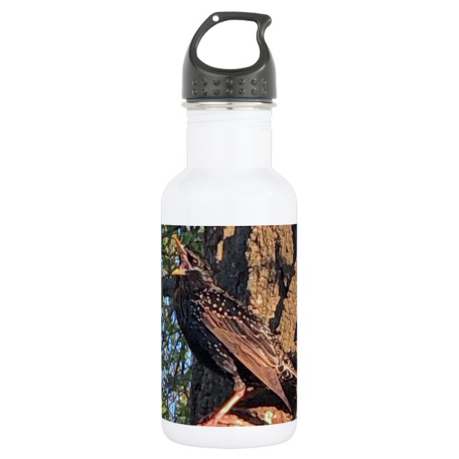 Botella de agua de aves (Anverso)