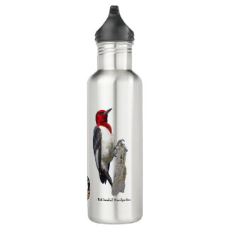 Botella de agua de aves