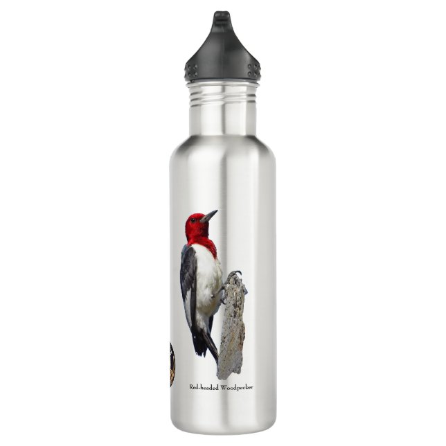 Botella de agua de aves (Derecha)