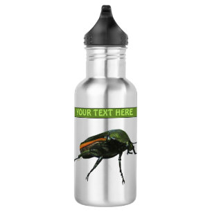 Botella de agua de beetle bug