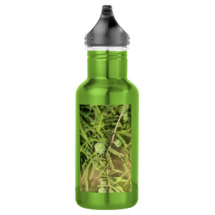 Botella de agua de cáscara de semilla de cipreses 