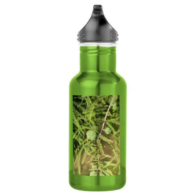 Botella de agua de cáscara de semilla de cipreses  (Derecha)