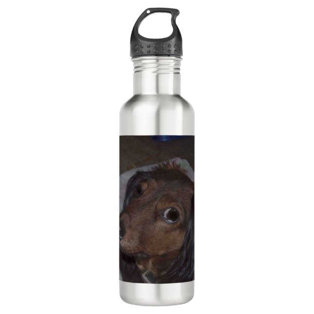 Botella de agua de Dachshund, de larga data (Anverso)