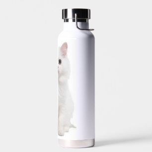 Botella de agua de gato blanco