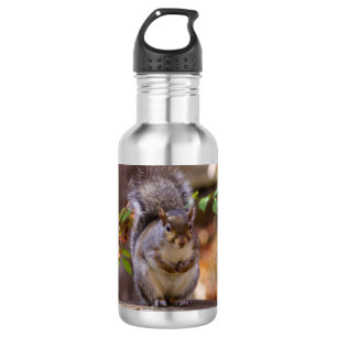 Botella de agua de la ardilla menguante