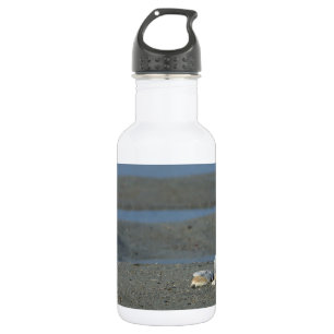 Botella de agua de la plataforma acuática Seashell