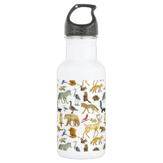 Botella de agua de los Grandes Lagos