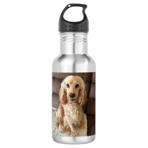 Botella de agua de perro de cachorro gotoso