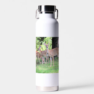 Botella De Agua Deer