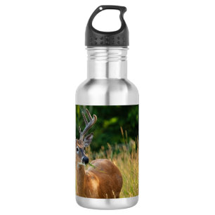 Botella De Agua Deer Buck