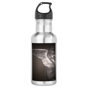 Botella de agua del ángel (18 onzas), acero
