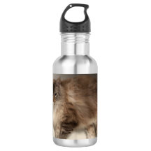 Botella de agua del gato