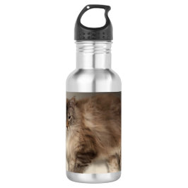 Botella de agua del gato