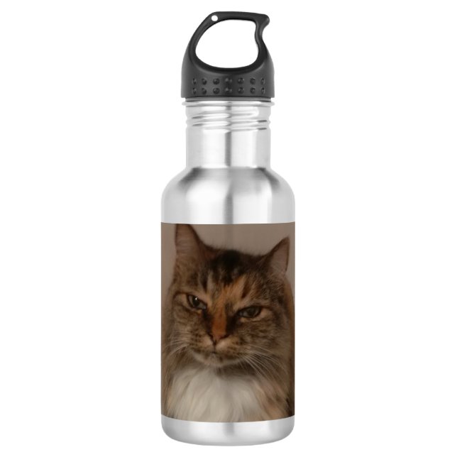 Botella de agua del gato Calico (Anverso)