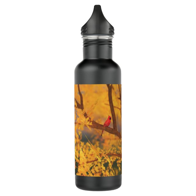 Botella de agua del Guardian de otoño (Izquierda)