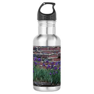 Botella de agua del ladrillo y del iris