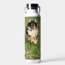 Botella de agua del Pastor Australiano