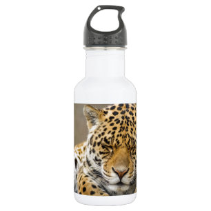 Botella De Agua Destino animal de la naturaleza del amor de la paz