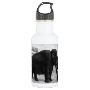Botella De Agua Destino de la MOD del mamut lanoso