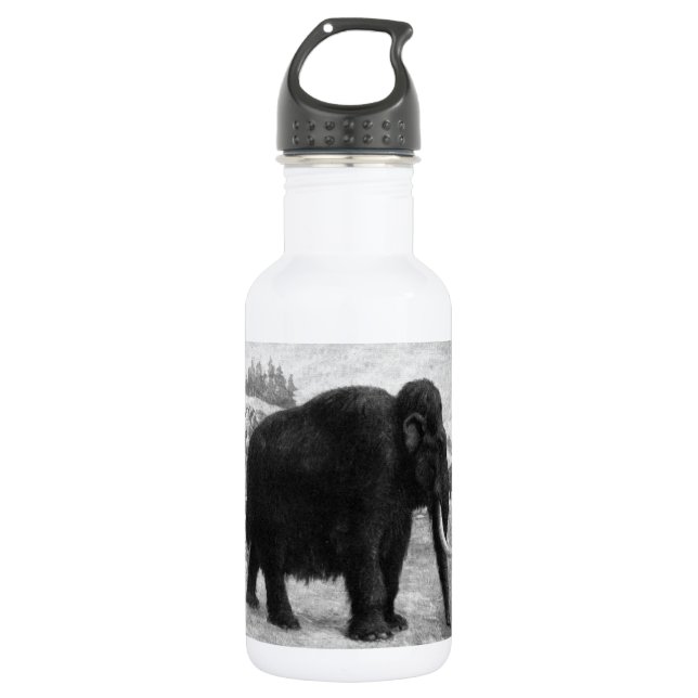 Botella De Agua Destino de la MOD del mamut lanoso (Anverso)