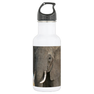 Botella De Agua Destinos Animales Elefantes Safari Selva Africana
