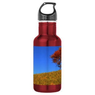 Botella De Agua Día de Otoño Claro