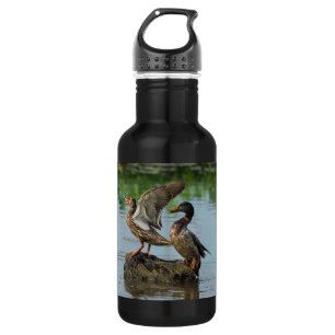 Botella De Agua Disculpa