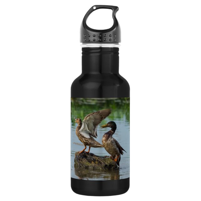 Botella De Agua Disculpa (Anverso)