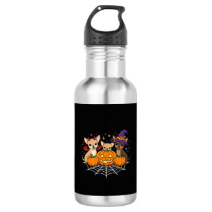 Botella De Agua Diseño de perro bruja calabaza Halloween Chihuahua