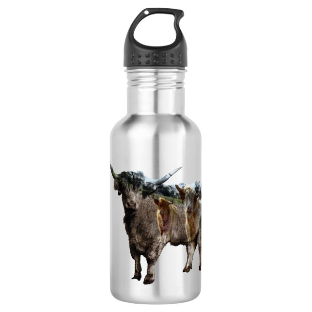 Botella De Agua Diseño de Vacas de las Tierras Altas, Botella de A (Anverso)