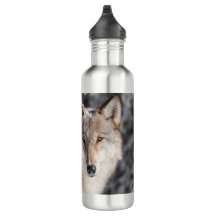 Diseño Naturaleza y Lobo